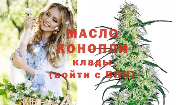 прущие грибы Беломорск