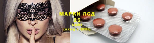 прущие грибы Беломорск