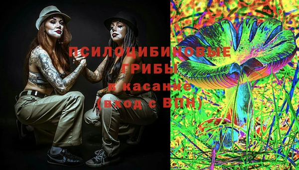 стафф Баксан