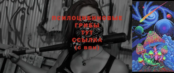 стафф Баксан