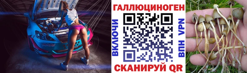 Галлюциногенные грибы прущие грибы Емва